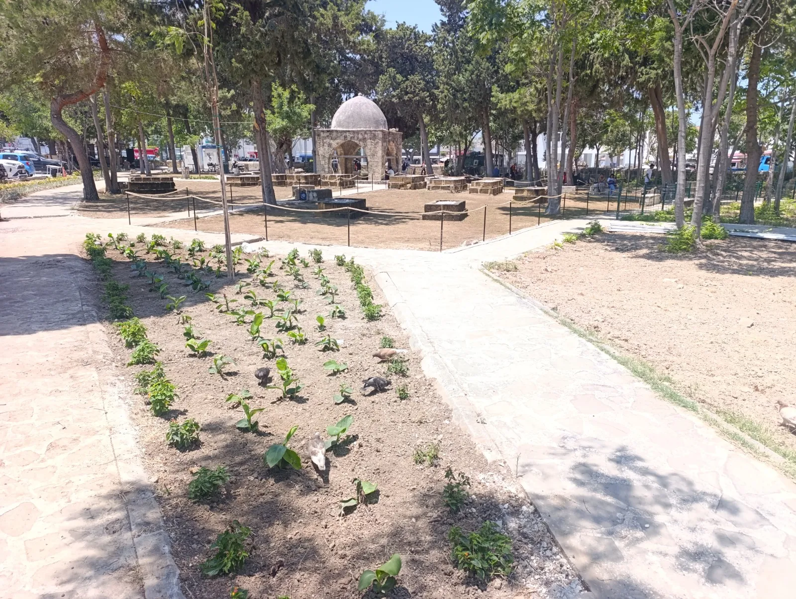 Girne Belediyesi’nden Baldöken Osmanlı Mezarlığı’na peyzaj düzenlemesi