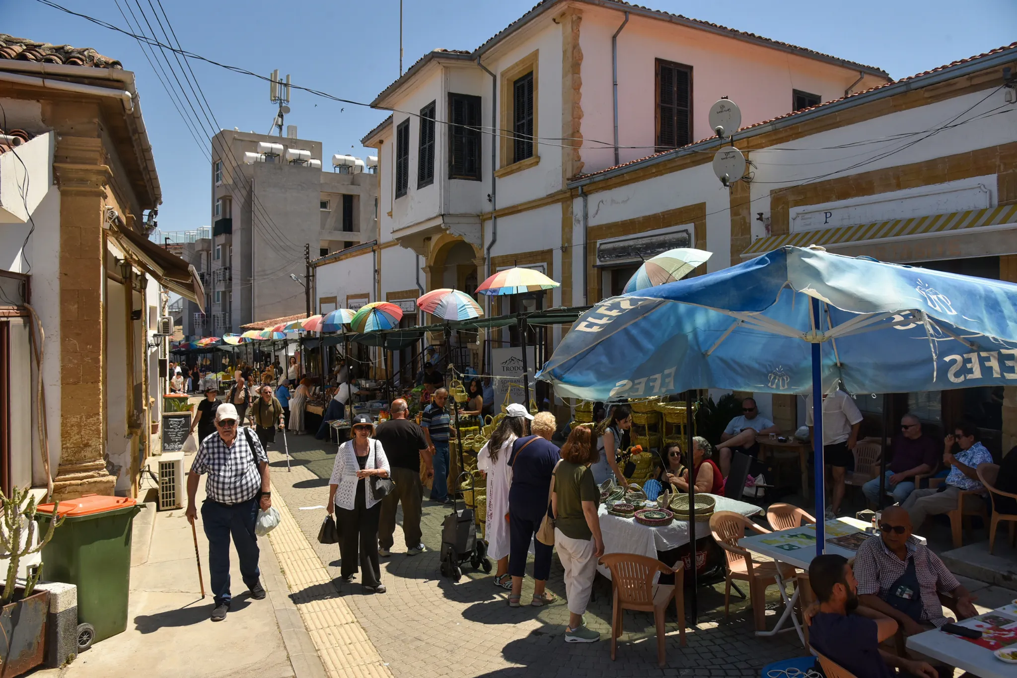 Lefke'de Ceviz Festivali yapıldı
